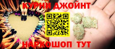 тгк Кингисепп