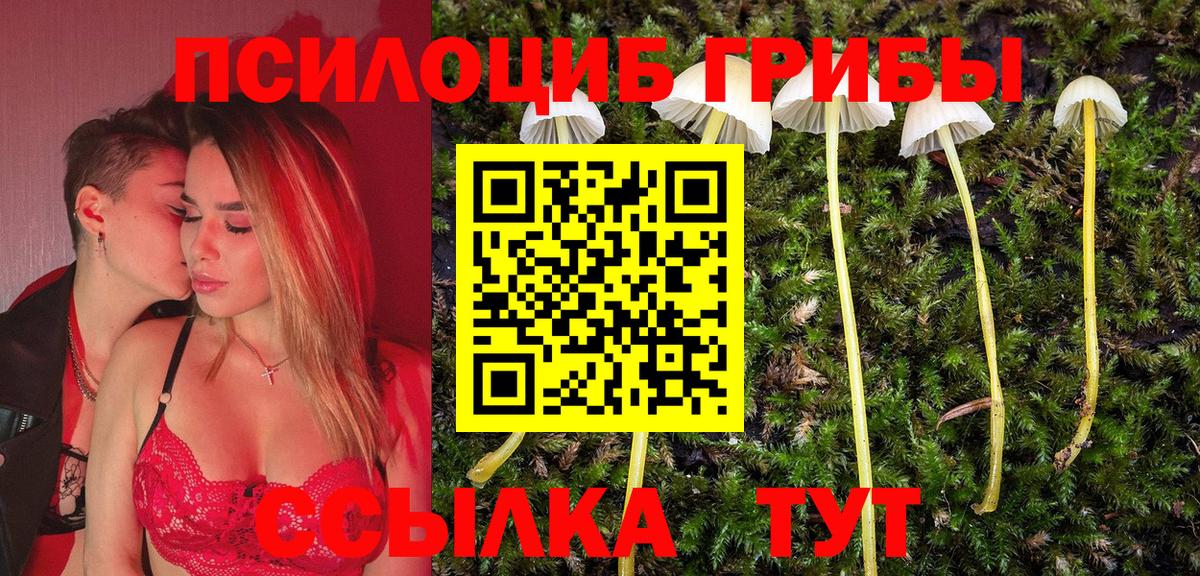 Галлюциногенные грибы мухоморы Кудрово